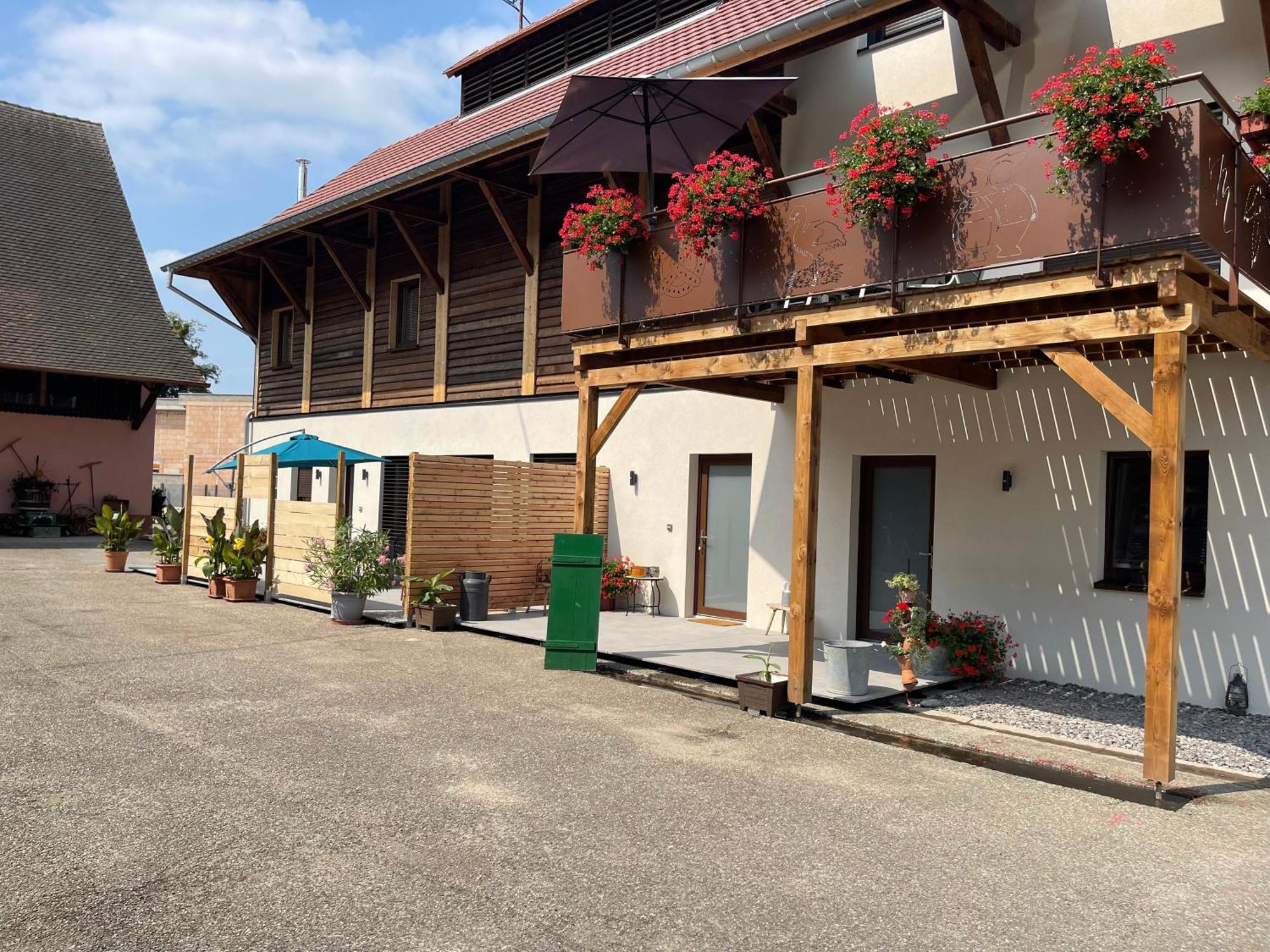 Les Loges De Marianne, Gites D'Exception Proche Europapark Schoenau Esterno foto