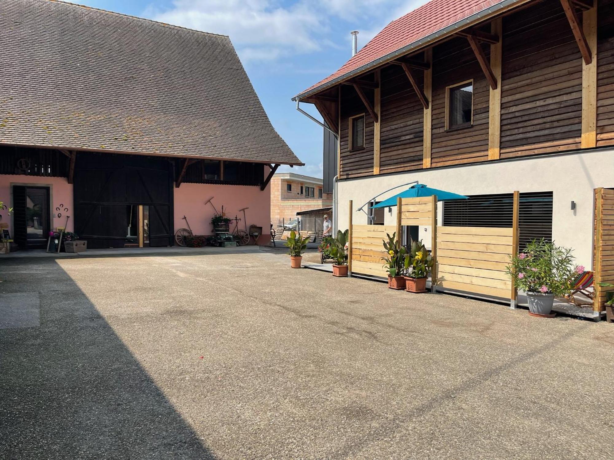 Les Loges De Marianne, Gites D'Exception Proche Europapark Schoenau Esterno foto